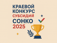 75,1 млн рублей смогут получить СОНКО края в 2025 году 