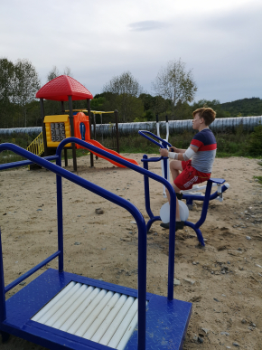 178. ТОС "Чкаловский" - проект "Новые горизонты"