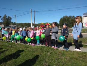 217. ТОС "Центр" - проект "Всем ножкам - сухую дорожку"