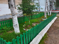 196. ТОС 